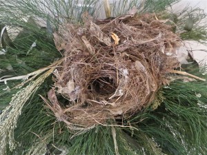 Paper and tape became part of this nest.