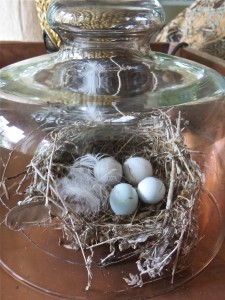 Nest under glass dome on side table